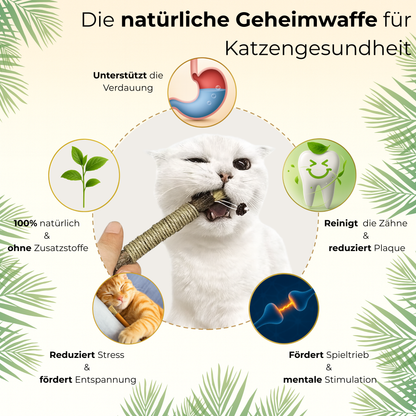 Navora® - Mehr Miau, weniger Mau