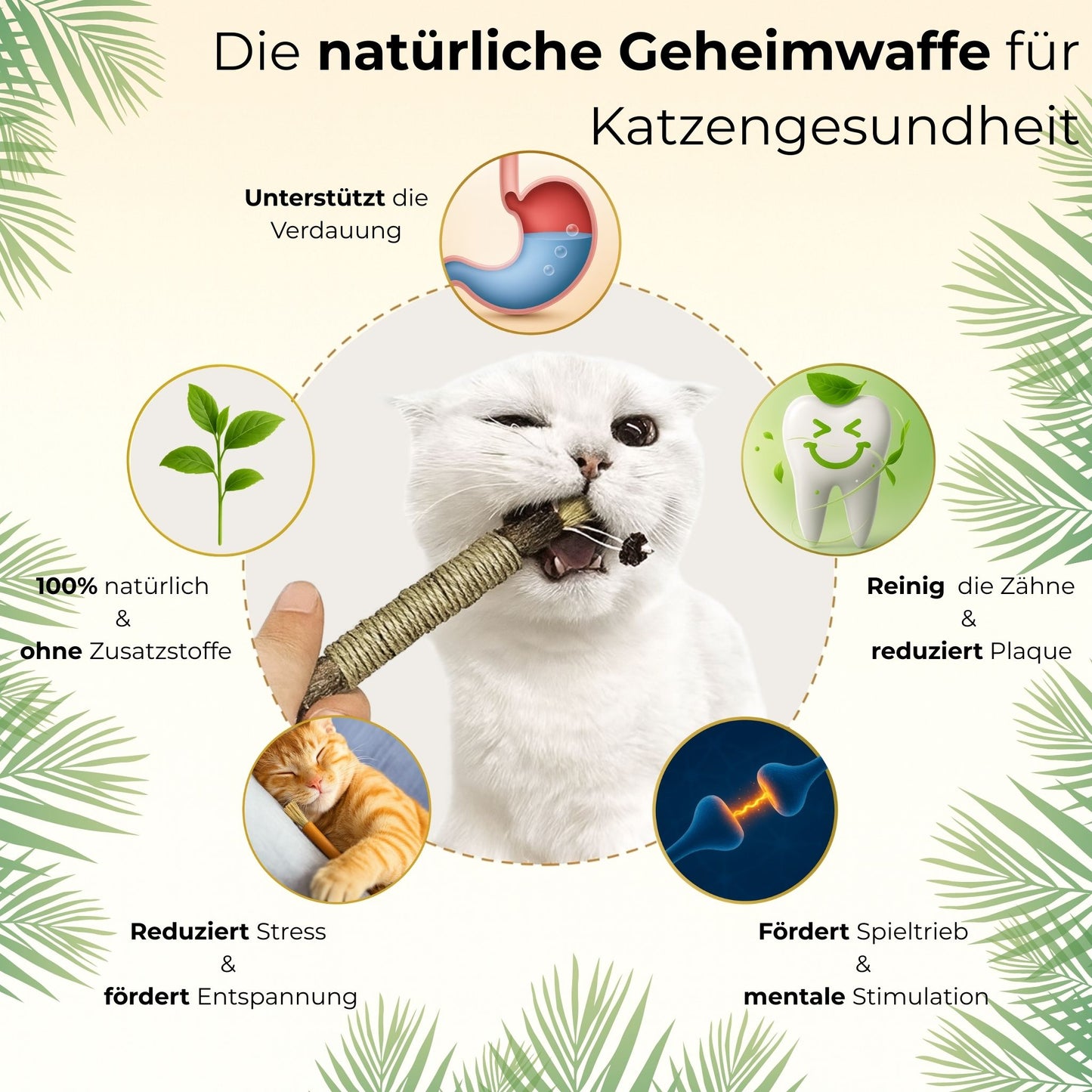 Navora® - Mehr Miau, weniger Mau